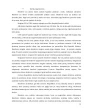 Verslo organizavimo formos bei rūšys 13 puslapis