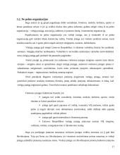 Verslo organizavimo formos bei rūšys 17 puslapis