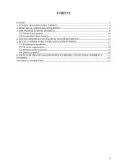 Verslo organizavimo formos bei rūšys 2 puslapis