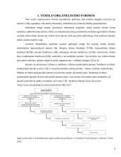 Verslo organizavimo formos bei rūšys 4 puslapis