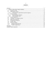 Verslo organizavimo formos Lietuvoje 2 puslapis