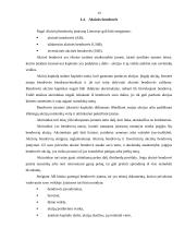 Verslo organizavimo formos Lietuvoje 13 puslapis