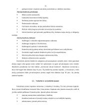 Verslo organizavimo formos Lietuvoje 15 puslapis