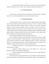 Verslo organizavimo formos Lietuvoje 16 puslapis