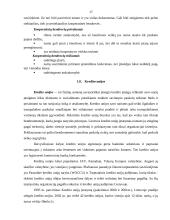 Verslo organizavimo formos Lietuvoje 17 puslapis