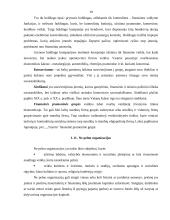 Verslo organizavimo formos Lietuvoje 19 puslapis