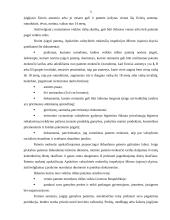 Verslo organizavimo formos Lietuvoje 5 puslapis