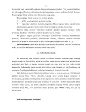 Verslo organizavimo formos Lietuvoje 6 puslapis