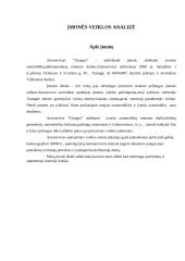 Verslo planas: autoservisas "Tanagra"