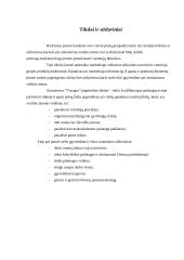 Verslo planas: autoservisas "Tanagra" 2 puslapis