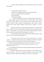 Verslo planas: autoservisas "Tanagra" 11 puslapis