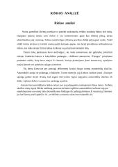 Verslo planas: autoservisas "Tanagra" 13 puslapis