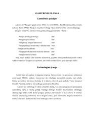 Verslo planas: autoservisas "Tanagra" 14 puslapis