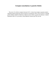 Verslo planas: autoservisas "Tanagra" 16 puslapis