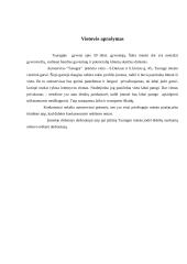 Verslo planas: autoservisas "Tanagra" 17 puslapis