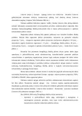 Verslo planas: autoservisas "Tanagra" 9 puslapis