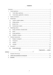 Verslo planas: autoservisas IĮ "Auto" 2 puslapis