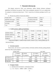 Verslo planas: autoservisas IĮ "Auto" 13 puslapis