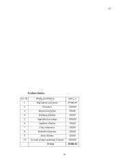 Verslo planas: autoservisas IĮ "Auto" 15 puslapis