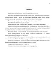 Verslo planas: autoservisas IĮ "Auto" 3 puslapis