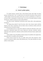 Verslo planas: autoservisas IĮ "Auto" 6 puslapis