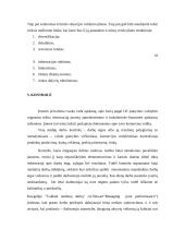 Verslo planas: baldai iš vytelių 11 puslapis