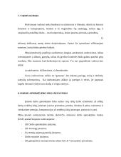 Verslo planas: baldai iš vytelių 13 puslapis