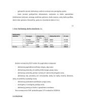 Verslo planas: baldai iš vytelių 14 puslapis