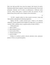 Verslo planas: baldai iš vytelių 15 puslapis