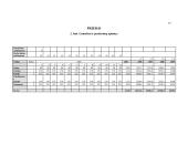 Verslo planas: baldai iš vytelių 17 puslapis