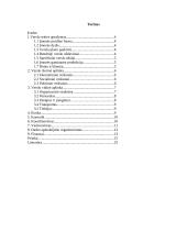 Verslo planas: baldai iš vytelių 3 puslapis