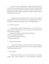 Verslo planas: baldai iš vytelių 6 puslapis