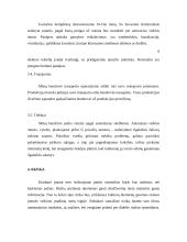 Verslo planas: baldai iš vytelių 10 puslapis