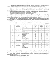 Verslo planas: baldų gamyba UAB "Kanapa" 2 puslapis