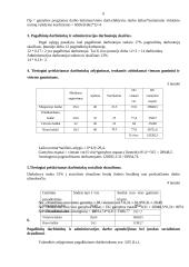 Verslo planas: baldų gamyba UAB "Kanapa" 5 puslapis