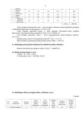 Verslo planas: baldų gamyba UAB "Kanapa" 8 puslapis