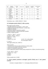 Verslo planas: baldų gamyba UAB "Kanapa" 10 puslapis