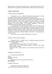 Verslo planas: bitininkystės ir vyšnių auginimas 2 puslapis