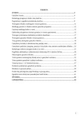 Verslo planas: durų ir dailylenčių gamyba UAB "Laimonas" 2 puslapis