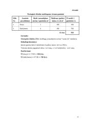 Verslo planas: durų ir dailylenčių gamyba UAB "Laimonas" 11 puslapis