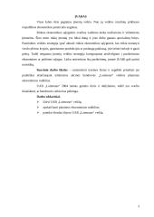 Verslo planas: durų ir dailylenčių gamyba UAB "Laimonas" 3 puslapis