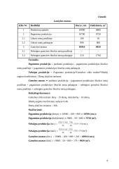 Verslo planas: durų ir dailylenčių gamyba UAB "Laimonas" 4 puslapis