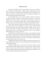 Verslo planas: ekologinių pižamų gamyba Pakistane