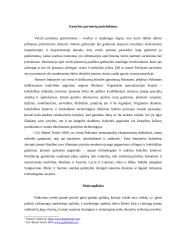 Verslo planas: ekologinių pižamų gamyba Pakistane 2 puslapis