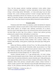 Verslo planas: ekologinių pižamų gamyba Pakistane 3 puslapis