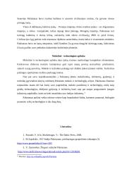 Verslo planas: ekologinių pižamų gamyba Pakistane 7 puslapis