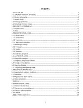 Verslo planas: fotografavimo paslaugos "Tavo Fotostudija" 2 puslapis