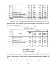 Verslo planas: fotografavimo paslaugos "Tavo Fotostudija" 11 puslapis