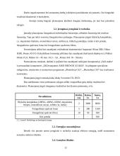 Verslo planas: fotografavimo paslaugos "Tavo Fotostudija" 12 puslapis