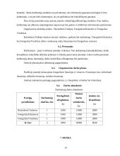 Verslo planas: fotografavimo paslaugos "Tavo Fotostudija" 14 puslapis